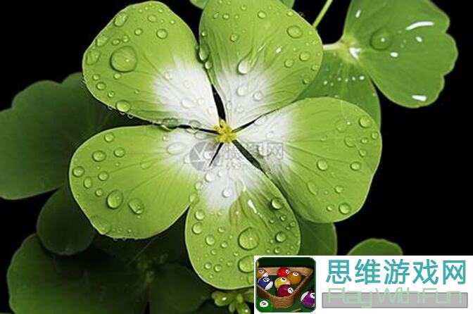 代号肉鸽幸运四叶草：幸运加持，四叶草助你飞升！