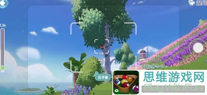 手把手教你心动小镇按天气+amp地点观鸟全攻略