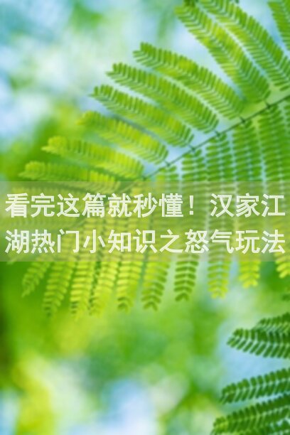 看完这篇就秒懂！汉家江湖热门小知识之怒气玩法大揭秘