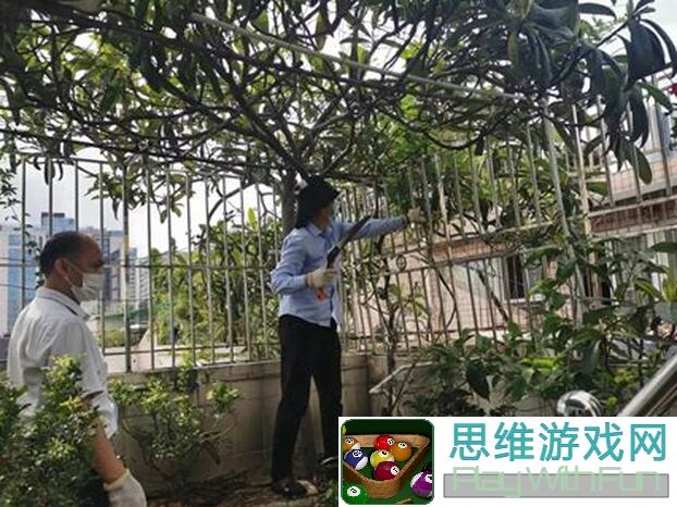 exposed！天垣纪最佳种植技巧全解析，让你的农场秒变丰收胜地！